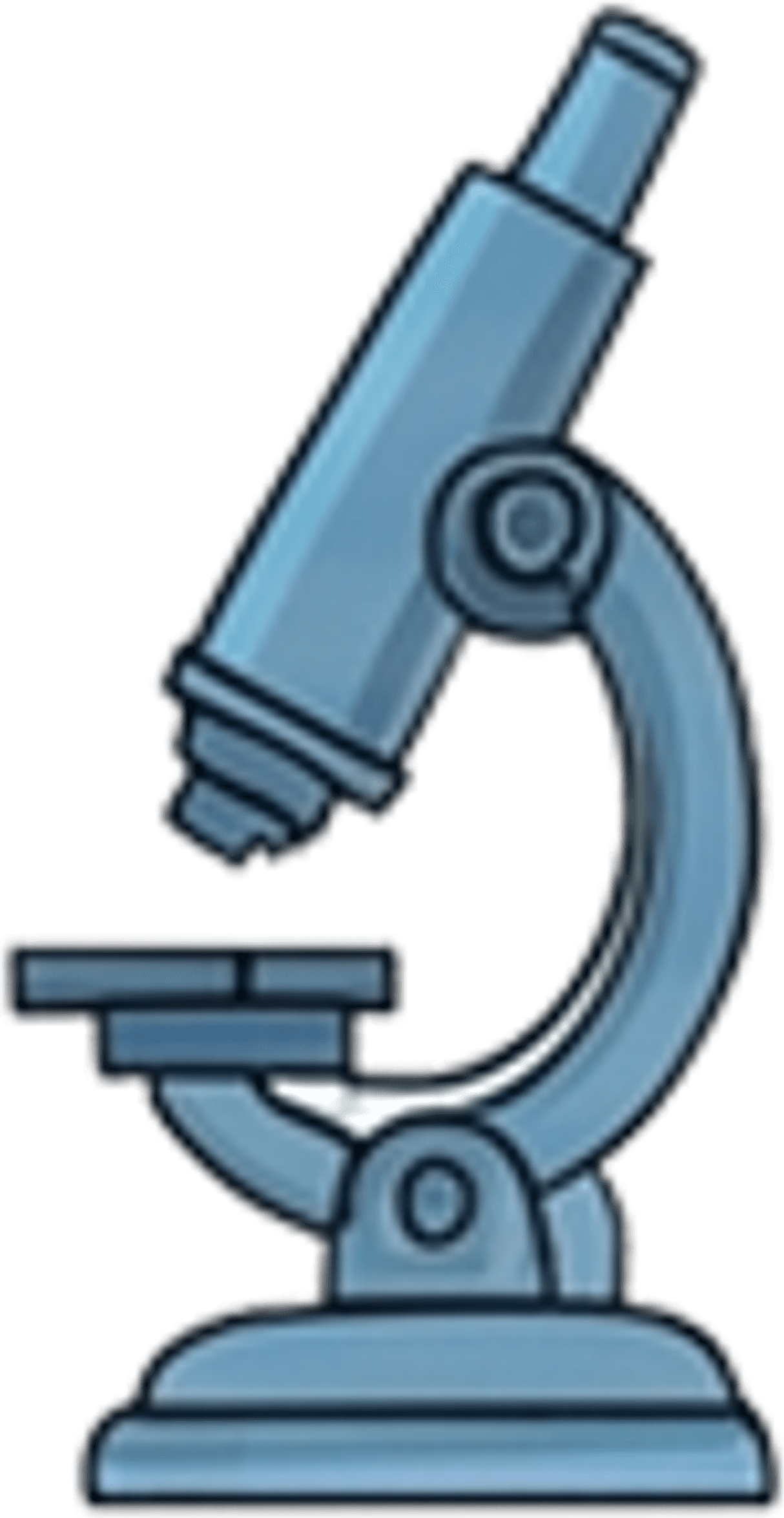 Educational decorative illustration (direita)